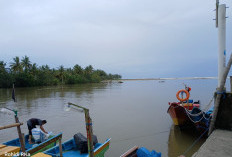 Bupati Bengkulu Selatan Siapkan Jembatan Wisata Ikonik di Pantai Pasar Bawah, Inilah Modelnya!