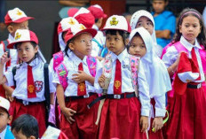 Ingin Anak Sekolah di Kota Bengkulu, Yuk Simak Skema PPDB 2024/2025 Berikut Ini 