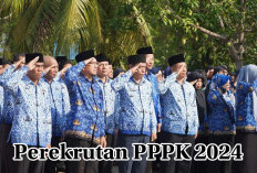 Rencana Perekrutan PPPK 2024 di Bengkulu Selatan Ternyata Masih Ambyar, Begini Penjelasan Sekda