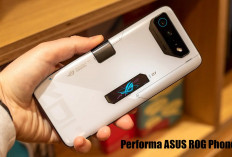 Pantas Dijuluki Rajanya Handphone Gaming, Sehebat Ini Performa ASUS ROG Phone 7!