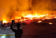 BREAKING NEWS! Perumahan Tambak Udang Hangus Terbakar