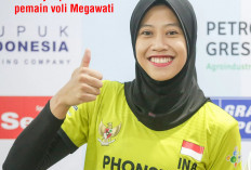Dijuluki Megatron, Simak di Sini Riwayat   Pendidikan Pemain Voli Megawati!