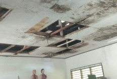 Atap Bocor, Sekolah Penggerak  Kaur Kini Butuh Perbaikan 
