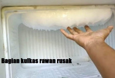 Ibu-ibu Wajib Tahu, Inilah Bagian Kulkas yang Rawan Rusak