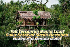 Pertahankan Cara Hidup Kuno, Suku Korowai Tinggal di Hutan