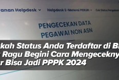 Apakah Status Anda Terdaftar di BKN? Jika Ragu Begini Cara Mengeceknya Agar Bisa Jadi PPPK 2024