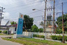 ULP PLN Cabang Bintuhan Jadwalkan Pemadaman Listrik, Ini Keterangan Manager ULP PLN