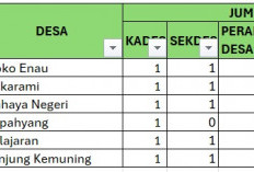 BANDEL! 6 Desa Belum Serahkan Data Perangkat   Desa ke BPJS, Cek di Sini Nama – Namanya