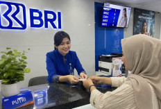 KUR BRI 2026 Plafon Rp150 Juta: Simak Besaran Cicilan dan Rahasia Agar Pengajuan Cepat Disetujui
