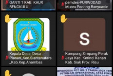 Kades Tanjung Aur Maje Sampai Keluhan ke Kemendes PDTT Lewat Zoom Meeting 