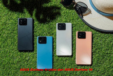 Mana Lebih Keren antara ASUS Zenfone 11 Ultra dan ASUS Zenfone 10, Cek di Sini!