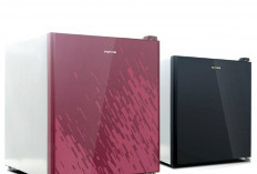 Kulkas Mini Perabotan Rumah Tangga yang Cocok untuk Anak Kos