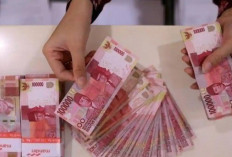 KUR dan Non KUR BNI Ada Perbeda Mencolok,  Jenis Ini Lebih Menguntungkan Nasabah 