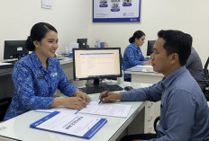 KUR Nafas Baru Petani, dari Modal Terbatas Hingga Produktivitas Meningkat, BRI Kucurkan Dana Segini Besar