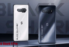 Review Spesifikasi Black Shark 4 Pro, Handphone Juara Andalan Gamer