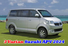 Terus Berinovasi! Ini Dia Keunggulan dan Perbedaan 3 Varian Suzuki APV Terbaru 2024