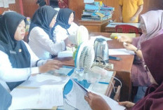 NI 746 Calon PPPK Paruh Waktu Kaur Diajukan, Kontrak dan Besaran Gaji Tunggu Petunjuk 
