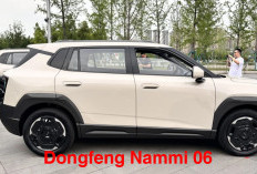 Dongfeng Nammi 06 Resmi Memulai Prapenjualan, Siap Tantang BYD Yuan Up