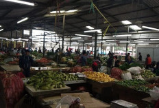 Pertumbuhan Ekonomi Kuartal II-2025 Bengkulu Mencapai 4,99 Persen, Begini Penjelasan BPS!