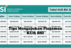 Tips Mengajukan Pinjaman KUR BSI Bagi Pelaku UMKM, Agar Cepat Cair