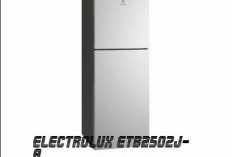 Inilah Fitur Unggulan Kulkas Electrolux ETB2502J-A untuk Keluarga Kekinian