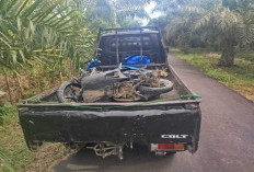 BREAKING NEWS! Pulang dari Sawah, Nenek di Bengkulu Selatan Meninggal Dunia Setelah Kecelakaan, Ini Kronologis