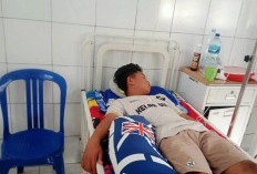 Tak Ada Fogging Hingga Pasien DBD Sembuh, Awas Kejadian Luar Biasa! 