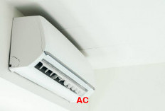 Bekerja di Ruangan yang Menggunakan AC,  Ini Tips Ampuh Agar Tak Kedinginan!