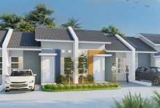 Rumah Subsidi Tipe 46 Cocok untuk Siapa? Simak Kriteria dan Keunggulannya Bagi Keluarga