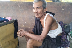 Honor Petugas TPA di Kaur Lima Bulan Belum Dibayar