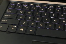Fungsi Tombol F1 Sampai F12 di Keyboard Apa Ya? Cek Jawabannya di Sini