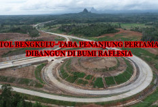 Tol Bengkulu–Taba Penanjung Pertama Dibangun di Bumi Rafflesia, Ini Kelebihan Melintas di Tol Bengkulu