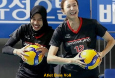 Ditingal Atlet Bola Voli Megawati, Popularitas Liga Voli Korea Turun Drastis, Cek Alasannya! 