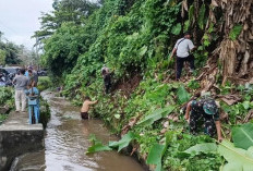 Irigasi Diperkuat, Petani Bengkulu Selatan Siap Gaspol Tanam Padi Tiga Kali Setahun