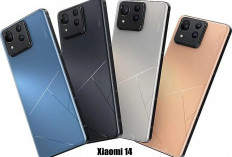 Adu Kualitas Kamera Xiaomi 14, iQOO 12, Vivo X100 dan Asus Zenfone 11 Ultra!