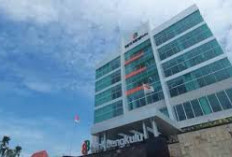 Bank Bengkulu Salurkan KUR Rp 10,99 Miliar, Berikut Jumlah Pelaku UMKM Penerimanya!