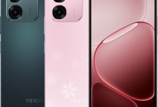 OPPO Spek Dewa Buat Orang Tua, Penasaran Ponselnya? Yuk Intip Jenisnya di Sini!
