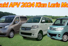 Tidak Seperti All New Suzuki APV 2024 Kian Laris Manis, 4 Mobil Ini Paling Hancur Penjualan di Indonesia