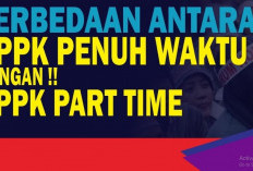 Wajib Mengetahui, Perbedaan Antara PPPK Full Time dan Part Time Sebelum Mendaftar PPPK 2024