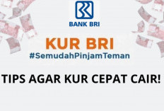 Ajukan Pinjaman KUR BRI Agar Cepat di-ACC, Berikut Tips Ampuhnya