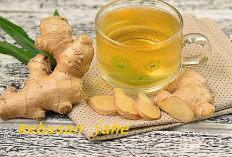 Jahe Penangkal Sakit, Ramuan India dan Cina Terbukti Lebih Efektif Sembuhkan Penyakit