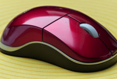 10 Pilihan Mouse Laptop Terbaik, Kualitas Dijamin Juara, Apakah Tertarik Membelinya?