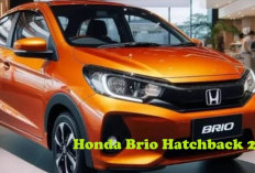 Mobil Hatchback Populer, Honda Brio 2025 Disenangi Mami dan Anak Muda