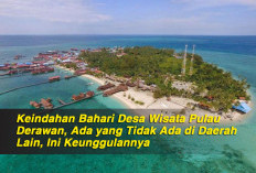 Keindahan Bahari Desa Wisata Pulau Derawan, Ada yang Tidak Ada di Daerah Lain, Ini Keunggulannya