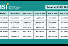 KUR BSI Tanpa Bunga, Syarat Mudah, Sangat Recomended Untuk Modal Usaha 