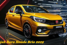 Wajah Baru Honda Brio 2025, Mobil Canggih Idaman Keluarga, Segini Prediksi Harganya