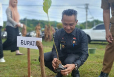 Untuk Pemulihan Lingkungan, Kaur Siap   Sukseskan Program Mitigasi Bencana Gubernur 