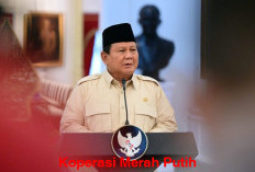 Begini Konsep Koperasi Merah Putih yang Digagas Presiden Prabowo Subianto 