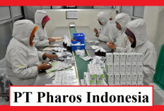 Loker Terbaru dari PT Pharos Indonesia, Hanya yang Sudah Berpengalaman Boleh Melamar