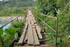 Jembatan Gantung di Kaur Viral, Puluhan Tahun Tak Tersentuh Perbaikan, Begini Kondisinya